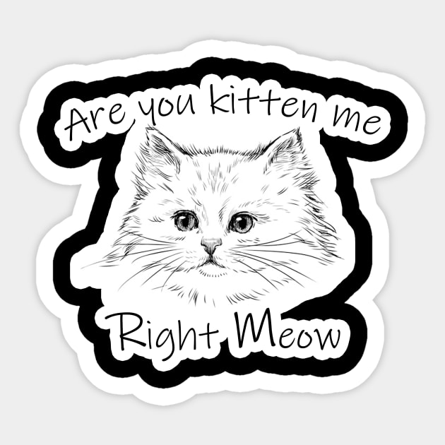 Are you kitten me right meow Gift Saint Valentin 2021 NOW Sticker by ClassyStores